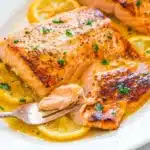 Pan Seared Lemon Garlic Butter Salmon image 1200x800 1784041731788
